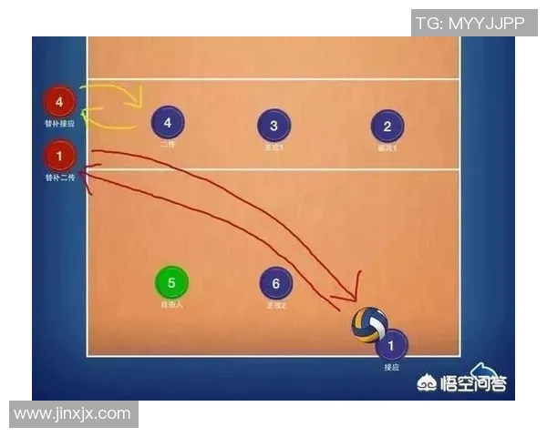 体育实时数据南京排球队区域防守分析及其在比赛中的得失表现探讨